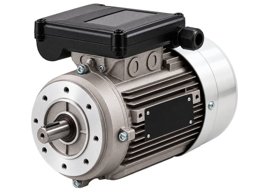 Motor eléctrico italiano tipo jaula de ardilla